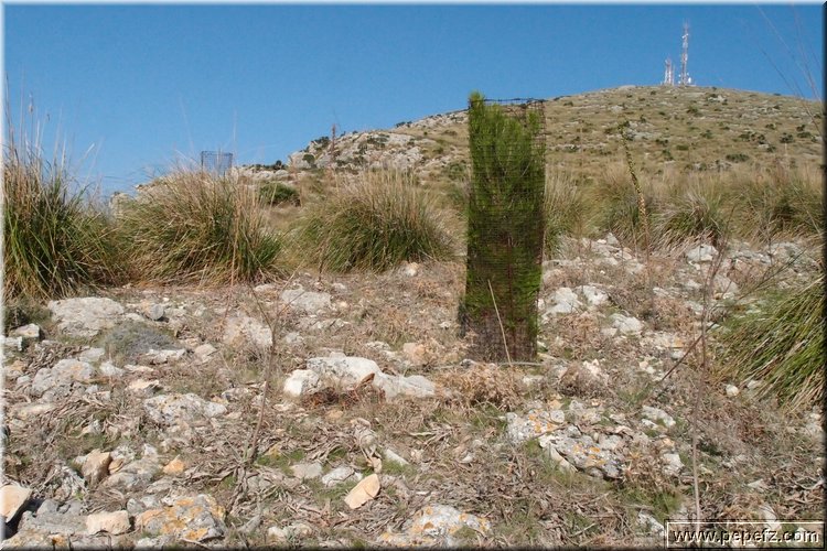 PA216446.JPG