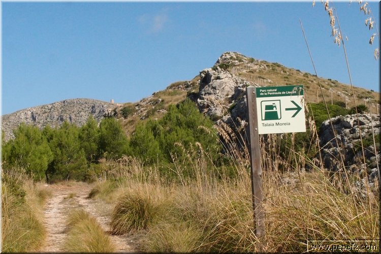 PA216451.JPG