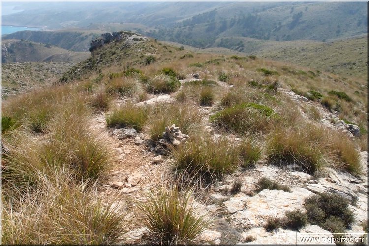 PA216454.JPG