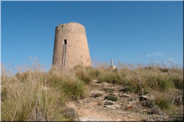 PA216456.JPG