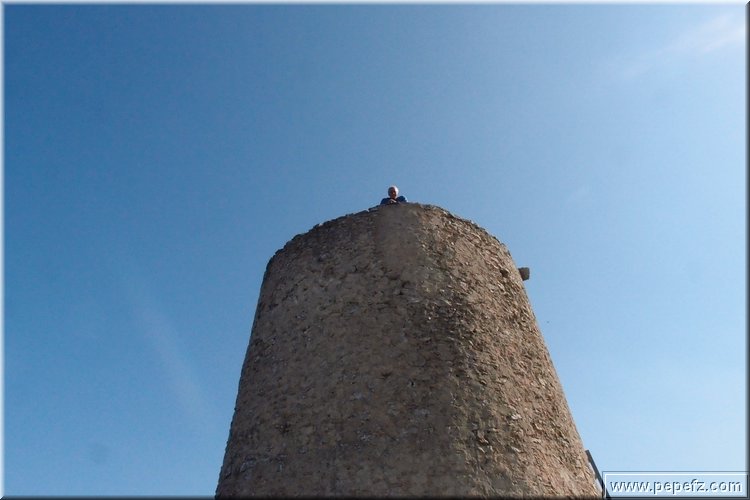 PA216463.JPG