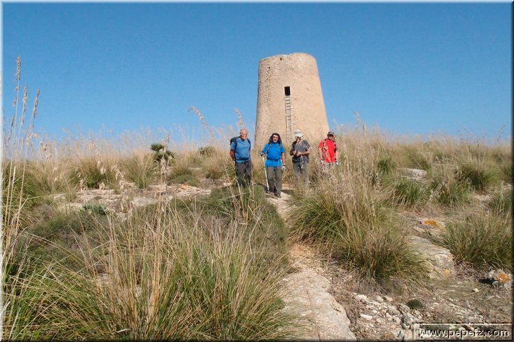 PA216465.JPG
