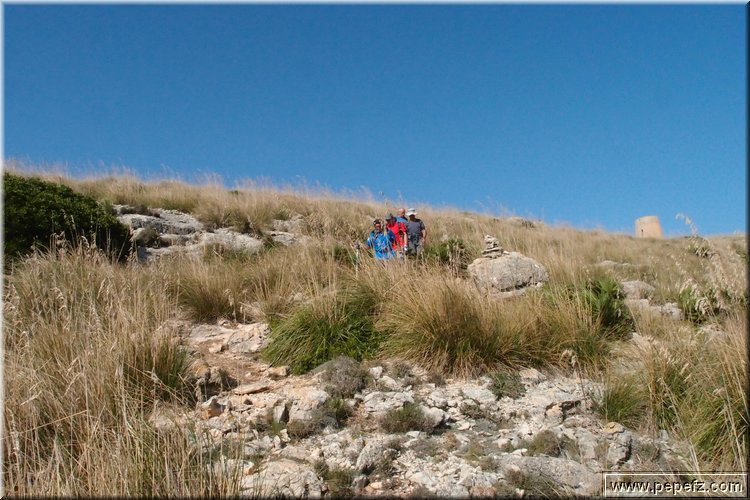 PA216467.JPG
