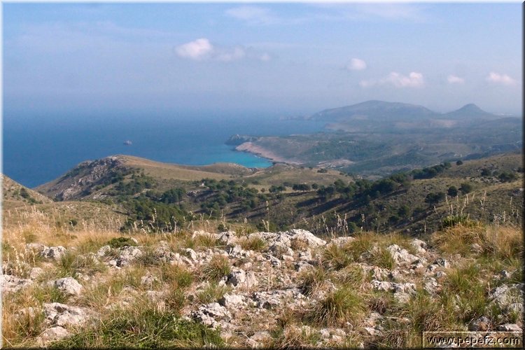 PA216478.JPG