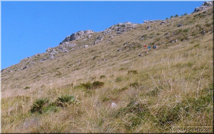 PA216481.JPG