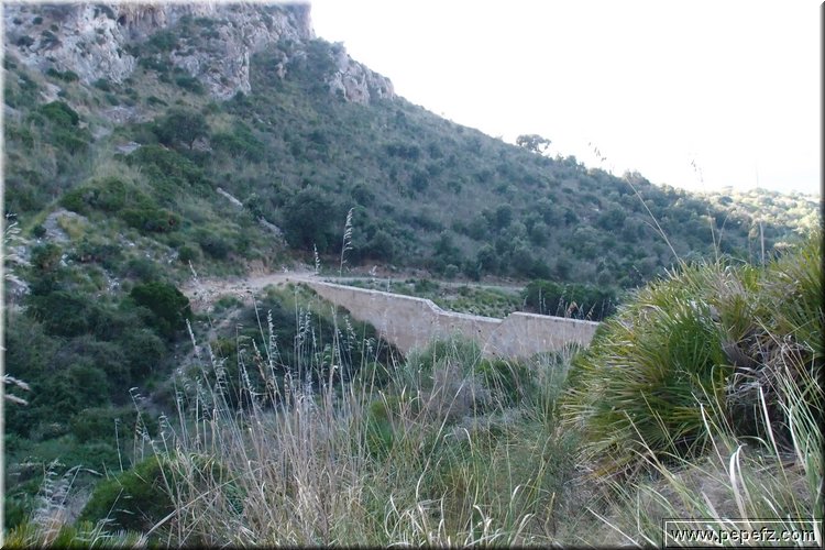 PA216489.JPG