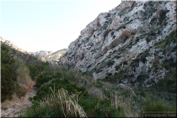 PA216490.JPG