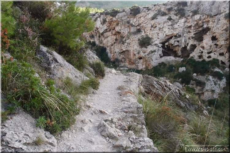 PA216492.JPG