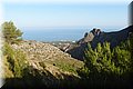 PA216388.JPG