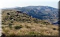 PA216412.JPG