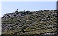 PA216437.JPG