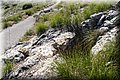 PA216449.JPG