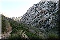 PA216490.JPG