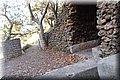 PA216499.JPG