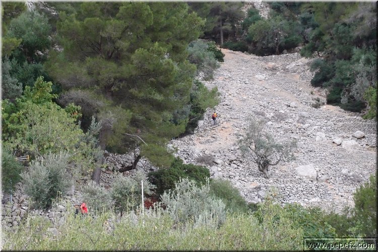 PA246521.JPG