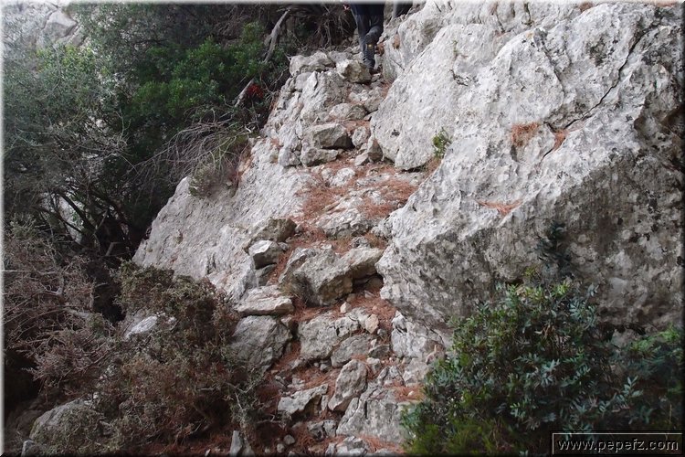 PA246524.JPG