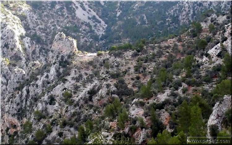 PA246530.JPG