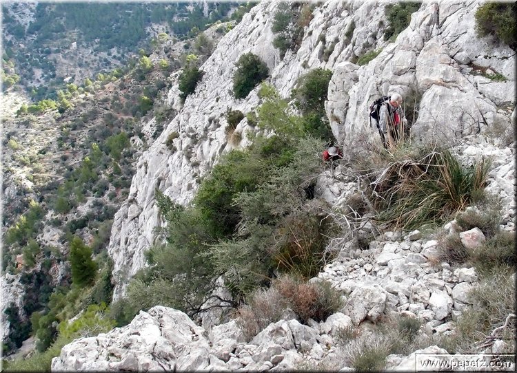 PA246560.JPG