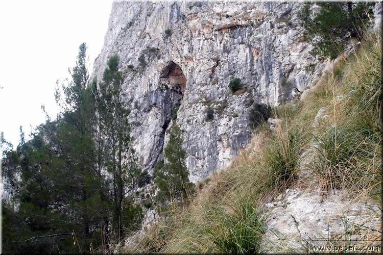 PA246562.JPG
