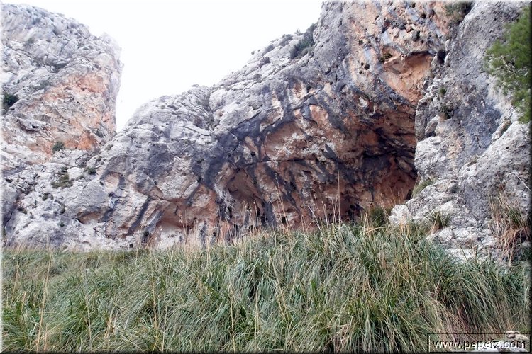 PA246564.JPG
