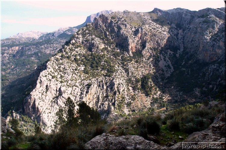 PA246571.JPG