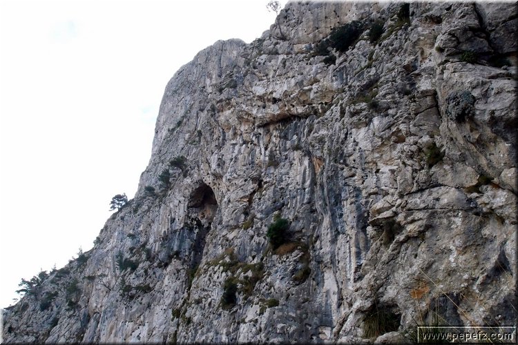 PA246574.JPG