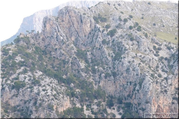 PA246576.JPG