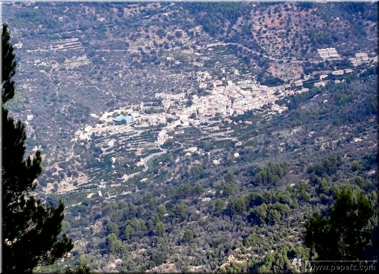 PA246579.JPG