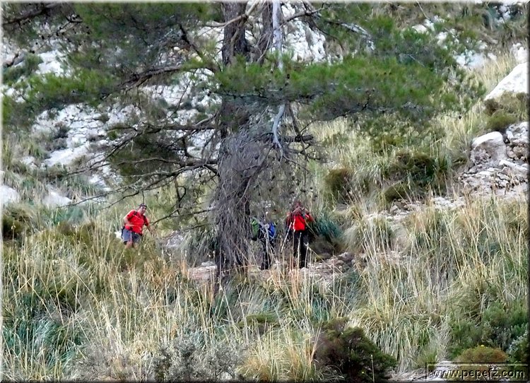 PA246609.JPG