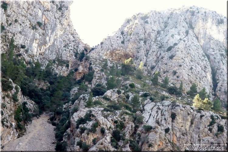 PA246642.JPG
