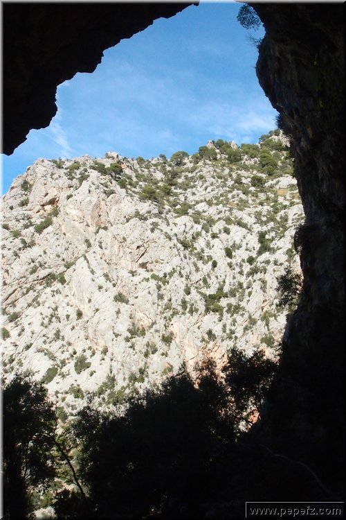 PA246658.JPG