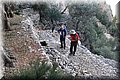 PA246503.JPG