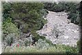 PA246521.JPG