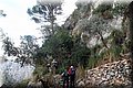 PA246541.JPG
