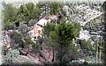 PA246550.JPG