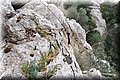 PA246555.JPG
