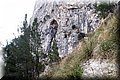 PA246562.JPG