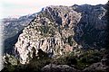 PA246571.JPG