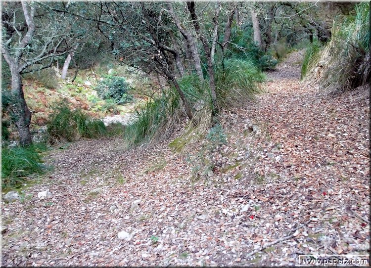 PA286690.JPG