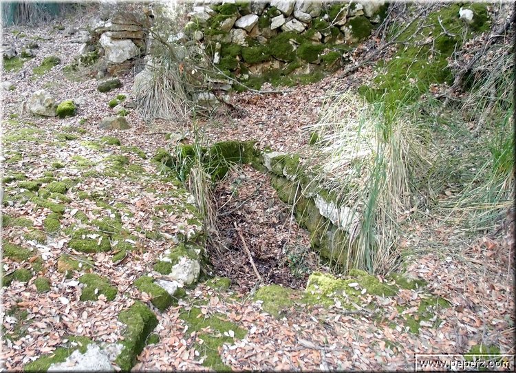 PA286703.JPG