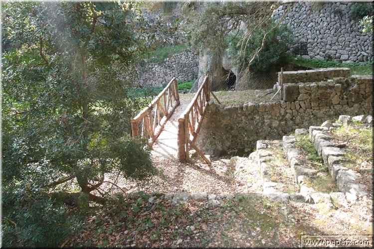 PA286711.JPG