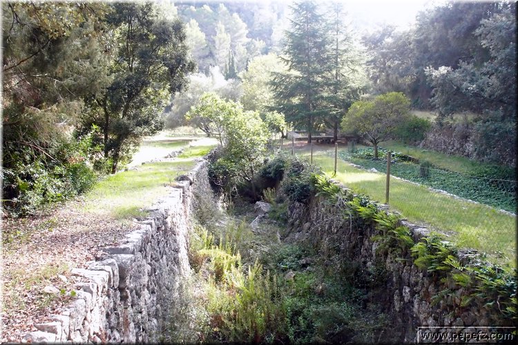PA286715.JPG