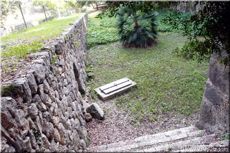 PA286719.JPG