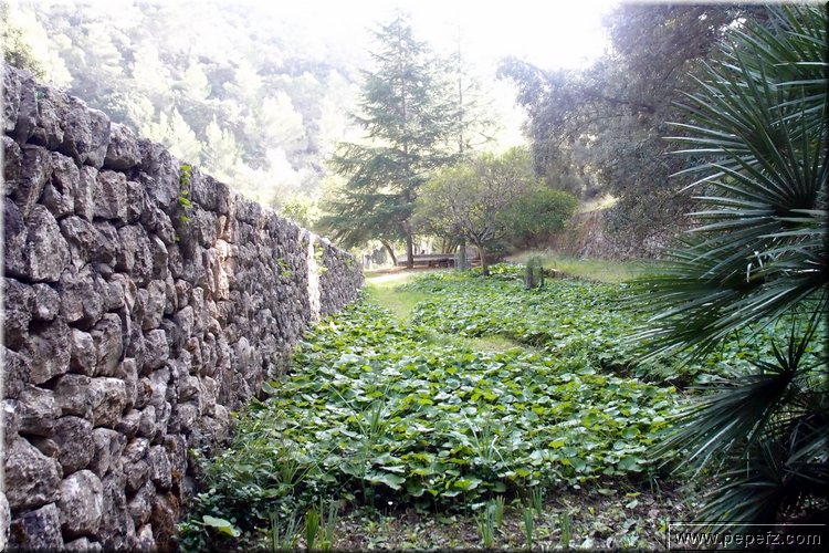 PA286731.JPG