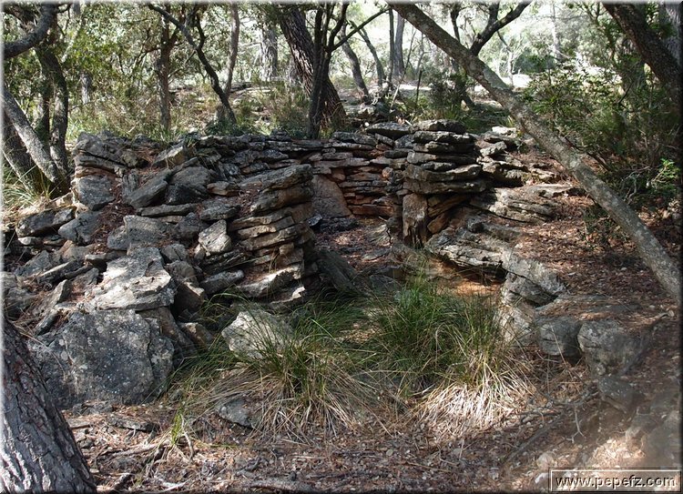 PA286744.JPG