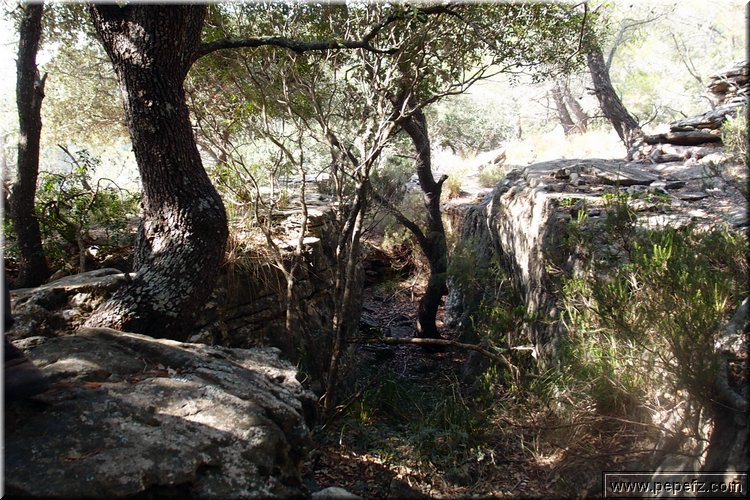 PA286747.JPG