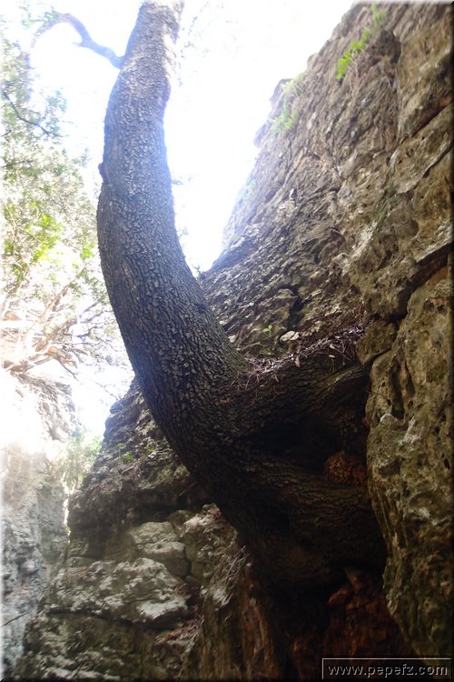 PA286758.JPG