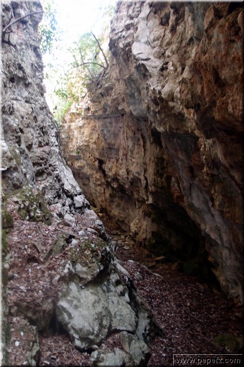 PA286759.JPG