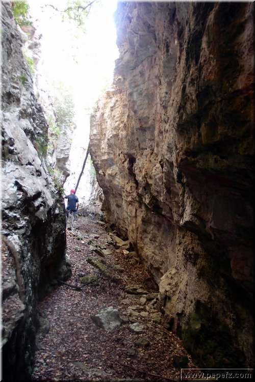 PA286763.JPG