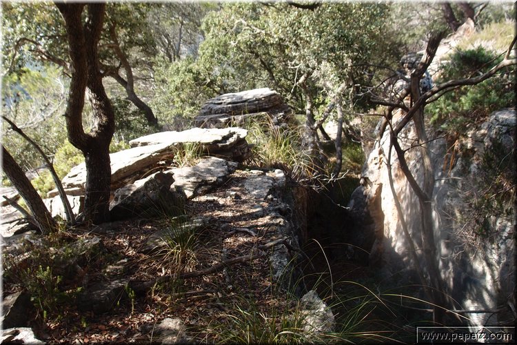 PA286784.JPG